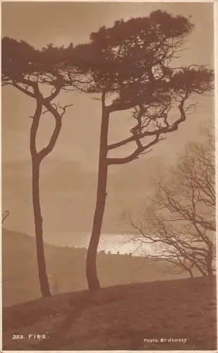 BR68414 First UK Richters 323 Echtfoto