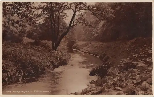 BR68320 River Derwent Force Valley UK Richter 1363 Echtfoto
