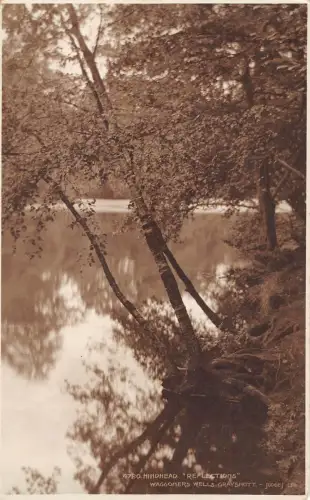 BR68641 Reflexion Waggomers Wells Hinterkopf UK Richter 4720 Echtfoto