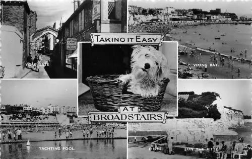 B89674 take it easy at broadstairs dog uk