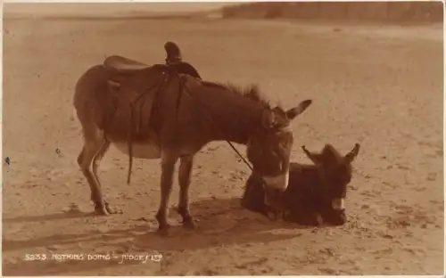 BR69386 nichts tun Esel UK Richter 5233 Echtfoto