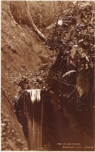 BR68427 im chinesischen Shanklin UK Richter 704 Echtfoto