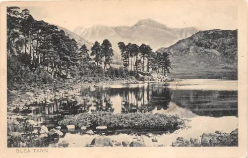 BR39484 Blea tarn england
