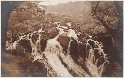BR68348 die Schwalbe fällt zwischen Coed Swales Richter 1923 Echtfoto