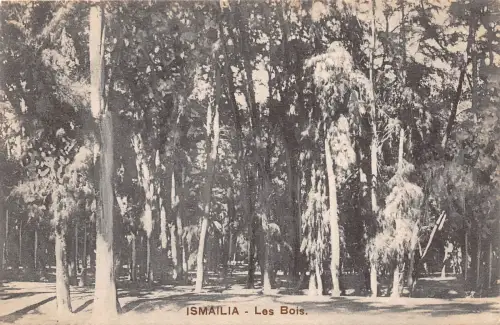 BF35757 les bois ismailia egypt front/back scan