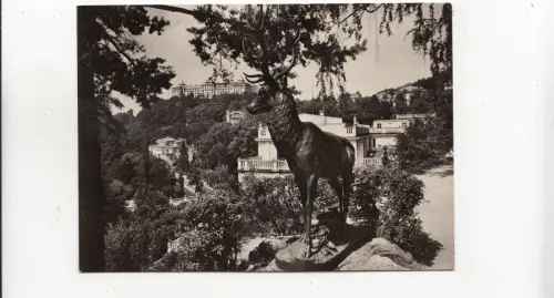 BF33407 karlovy var karlsbad Tschechien Vorder-/Rückbild