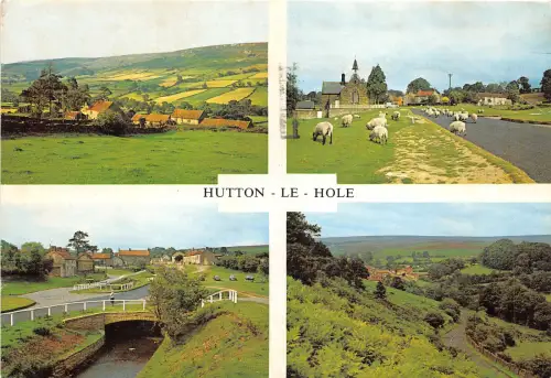 Lot240 uk hutton le hole sheep Yorkshire