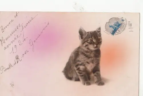 B78667 Katzen Chat Scan Vorder-/Rückseite Bild