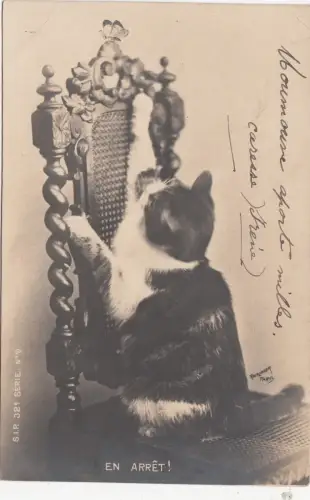 B80563 en arret cat front/back image