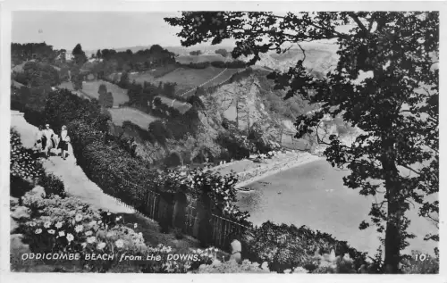 B89559 oddicombe beach from the down uk