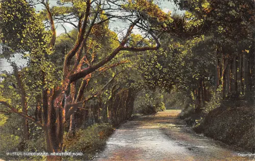 uk13650 weston super mare kewstoke road uk