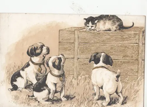 B78655 Hund Chien Katzen Chat Scan Vorder-/Rückseite Bild