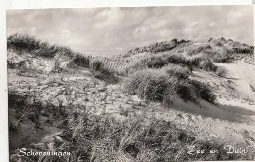 BF33013 scheveningen zee en duin netherland front/back image