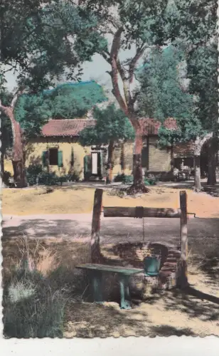 BF27286 noyers sur serein yonne bords du serein france front/back image