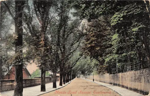 uk16851 meads road avenue eastbourne uk