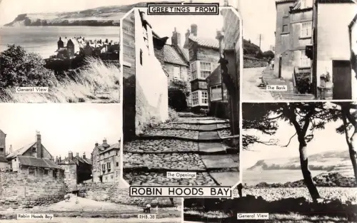 BR96467 robin hoods bay frith rhb 38 uk