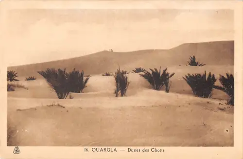 BF9213 ouargla dunes des chotts algeria Algerien
