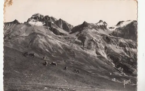 BF27628 col du lautaret h a troupeau au paturage france front/back image