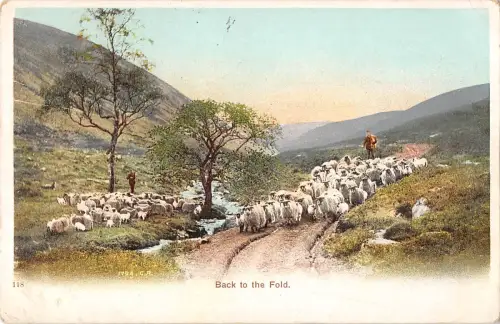 uk30426 back in the fold uk