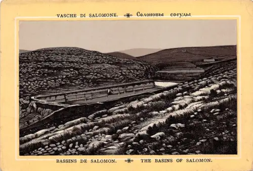 B37492 Vasche di Salmone Salmonen