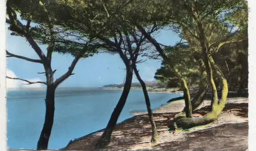 BF27758 ile de porquerolles var plage de la courtade france front/back image