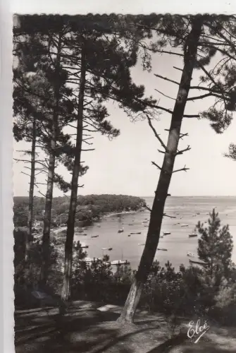 BF25957 Bassin d Arcachon Gironde Bassin a travers le france front/back image