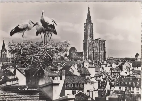 BF25368 strasbourg vue generale et le nid de cigognes france front/back image