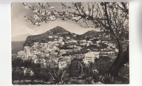 BF33355 Capri Panorama Italien Vorder-/Rückbild