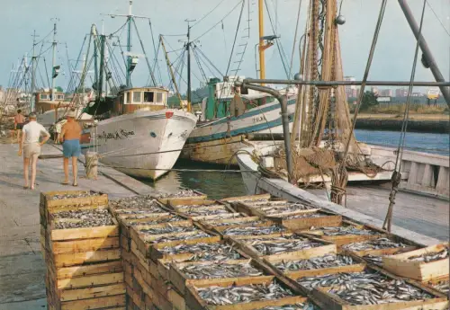 BF23218 porto garibaldi lido degli estensi ship il pont italy front/back image