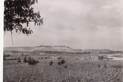 BF12953 nissan enserune l oppidum france front/back image