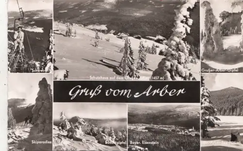 BF33171 Arber Multi Views Germany Front/Back Bild