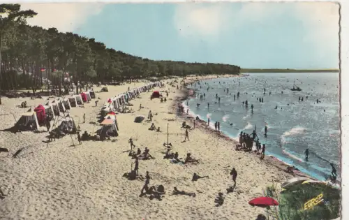 BF27562 ronce les bains c m la plage france front/back image