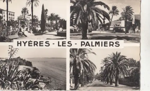 BF27845 hyeres les palmiers france front/back image