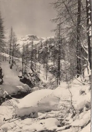 BF26540 savoyard la gorge d un petit torrent sous la n france front/back image