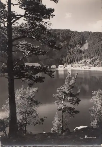 BF26031 les hautes vosges le lac noir france front/back image