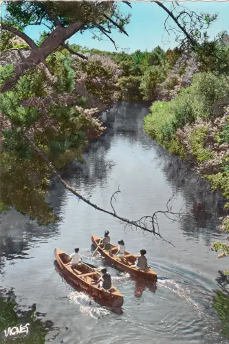 BF15285 landes sur un courant landais couves au boat france front/back image