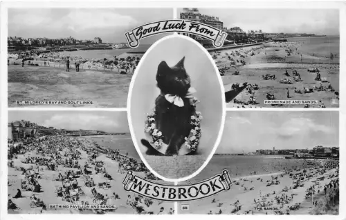 uk48423 viel Glück aus Westbrook Echtfoto UK Katze