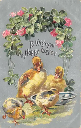 uk40907 wish you a happy easter greetings uk embossed chicken