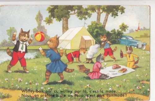 B81343 menschliche Haltung Katzen bei Picnik spielen Volleyball Katzenplauder Vorder-/Rückseite Bild