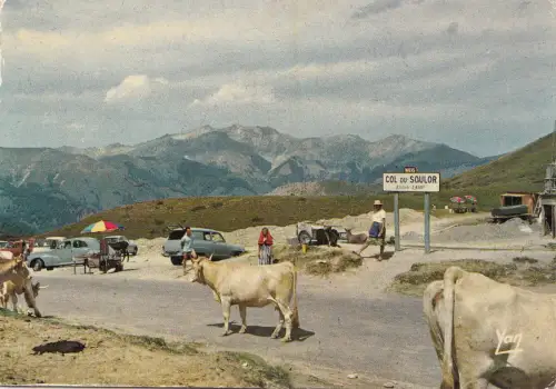 BF21939 au col du soulor cow vaches france front/back image