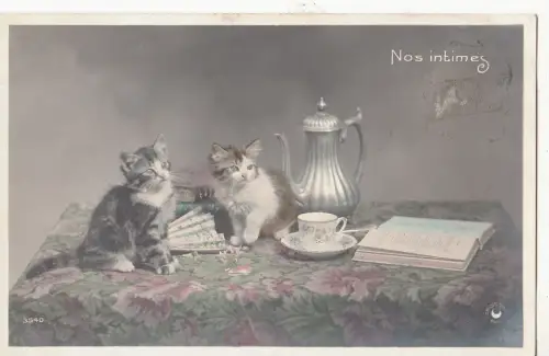 B81384 sitzend auf Tisch NOS intimes Cat Chat Vorder-/Rückseite Bild
