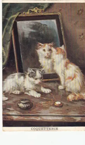 B81375 Menschliche Haltung Beobachtet im Spiegel Koketterie Katze Chat Vorder-/Hinterseite Bild