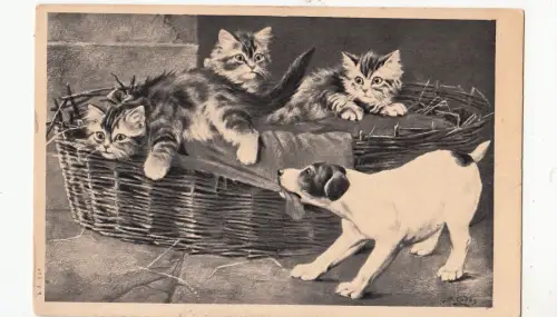 B81342 Jungen laufen vor Hunden Katze Chat Vorder-/Rückseite Bild