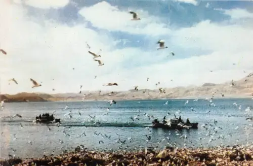 BF36424 vues du tibet l ile aux oiseaux front/back scan