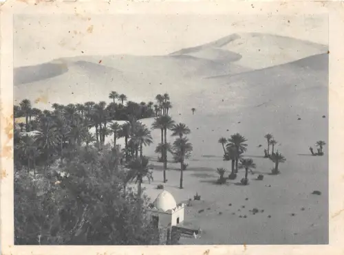 BF36323 taghit vue du bordj algeria front/back scan