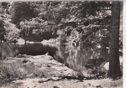 BF26554 vallee de munster le fischboudte france front/back image