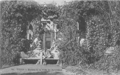 BF35808 tunisia ruines de la mida du belvedere front/back scan