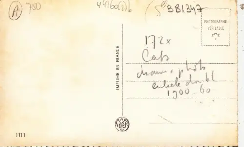 B81347 Cat Chat Front/Back Bild