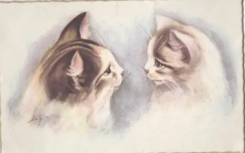 B80550 schaut einander Katze vorne/hinten Bild