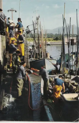 BF31787 st jean de luz p a retour de la peche france front/back image